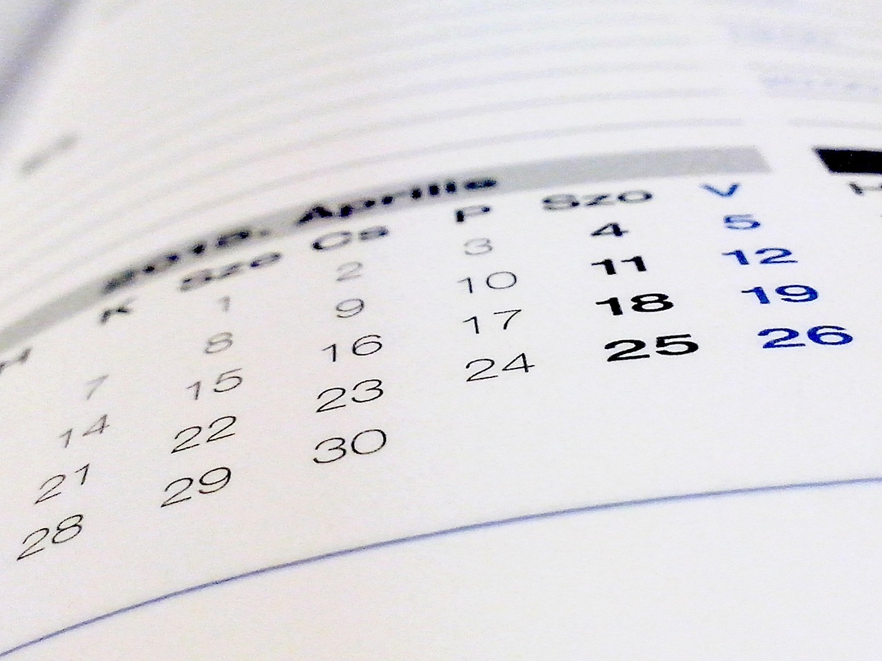 book, calendar, paper, calendar, calendar, calendar, calendar, calendar